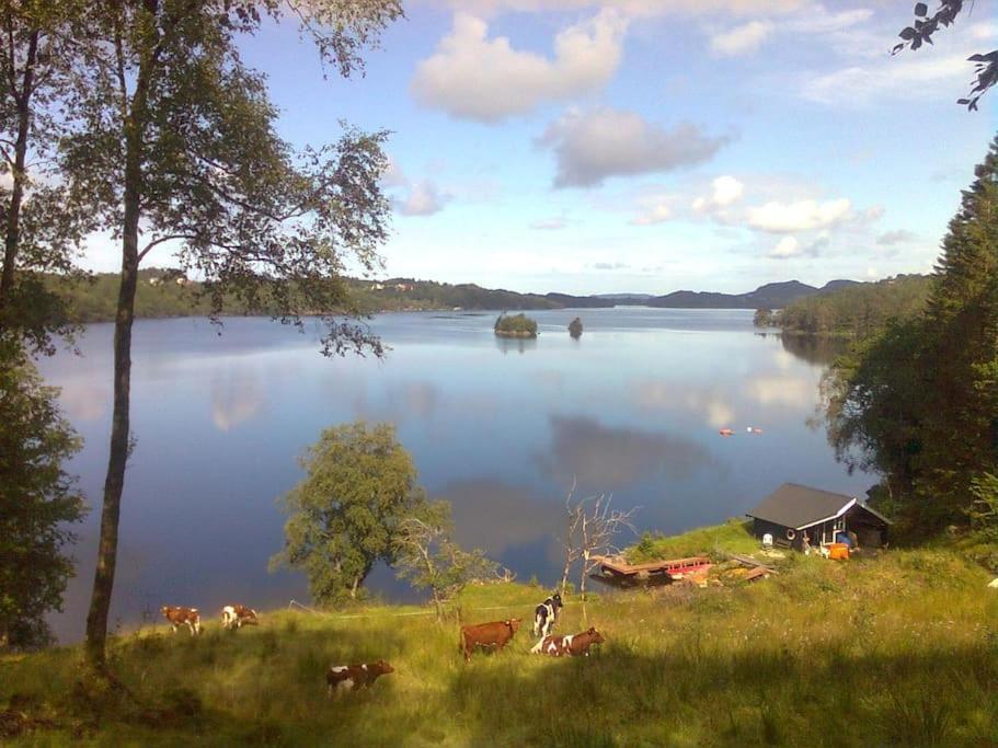 Apartment Topfloor Separate Entranc View Stord